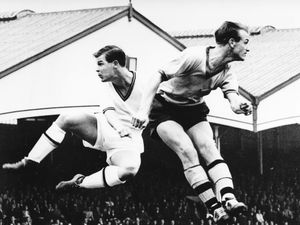 Supporting image for story: Village history exhibition spotlights Wolves legend