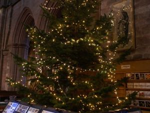 Supporting image for story: Shrewsbury Tree of Light looks to add to near-£200k legacy thanks to dedicated volunteers Ann and Susan - we reveal the list of names