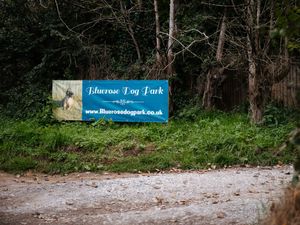 Supporting image for story: 'You were our lives' - Heartbroken owners release statement following dog kennels fire tragedy 