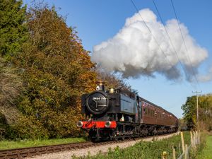 Supporting image for story: Special guest for steam rally