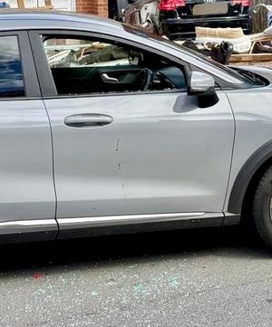 The driver rammed into police cars