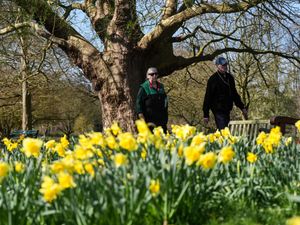 Supporting image for story: Sunny start to spring as temperatures expected to climb above average for some