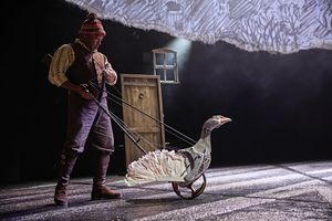 The Goose who brings humour and fun to the play. 

