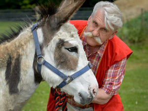 Supporting image for story: 'It had to happen' - Beloved animals at Tettenhall Horse Sanctuary are moved as it closes its doors after 47 years