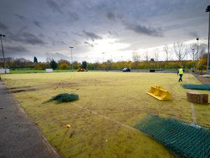 Supporting image for story: New Dell Stadium artificial pitch ready to be unveiled after £650k project 