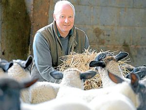 Supporting image for story: Brexit politicians irresponsible says Oswestry farmer