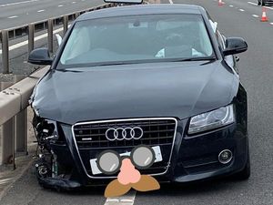 Supporting image for story: 'Car wasn't the only thing smashed' in M54 crash