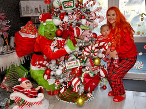 Supporting image for story: Walsall family in 'disbelief' after Grinch-themed Christmas decorations prove an online hit