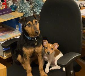 Ben and Tilly