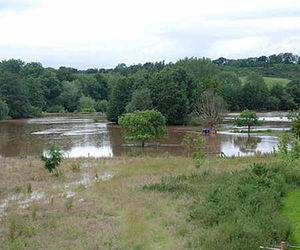 The field adjoining the Boat House at Eastham. Photo: Frances Meier.