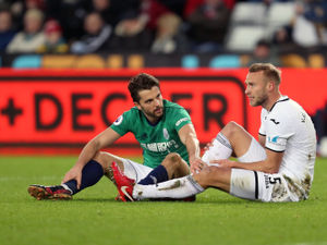 Supporting image for story: West Brom vs Swansea: Carlos Carvalhal concentrating only on survival