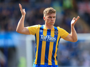 Supporting image for story: The New Saints sign former Shrewsbury Town midfielder Josh Daniels