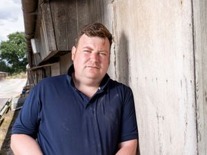 Supporting image for story: Shropshire farmer welcomes news of bird flu free status