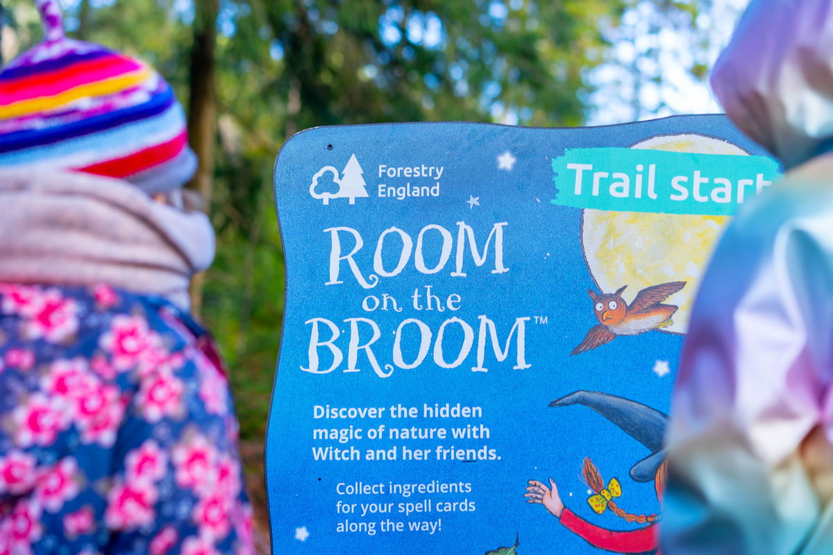 Forestry England Cannock Chase Forest launches magical Room on the Broom trail