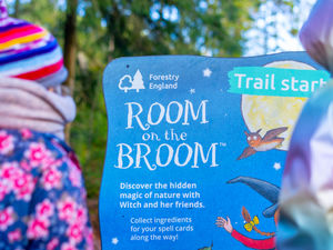 Supporting image for story: Forestry England Cannock Chase Forest launches magical Room on the Broom trail