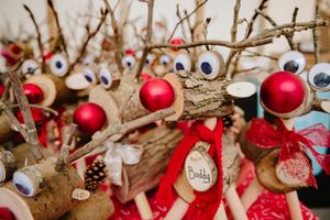 Reindeer at the Southwater switch-on event