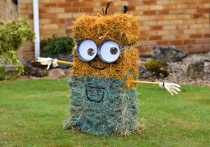 One entrant has produced a straw 'minion' in their effort to secure first place