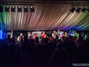 Supporting image for story: Third annual Wolvesfest coming to Wolverhampton Rugby Club