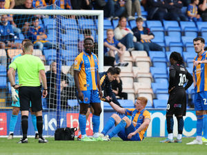 Supporting image for story: Shrewsbury v Fulham U21s: Who's out and who's a doubt
