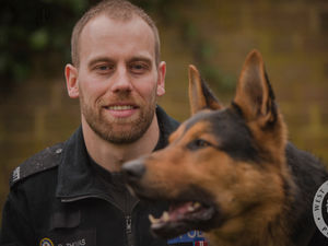 Supporting image for story: West Midlands police dog handler back on the job after being impaled on a metal spike