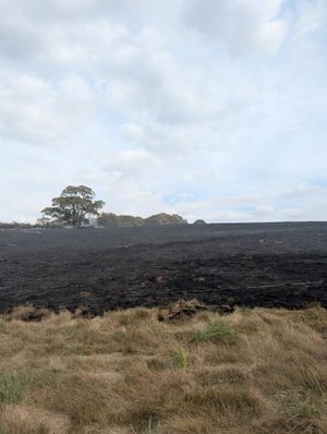 The aftermath of the Pulverbatch blaze. Picture: Amber Watch Wellington