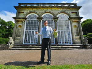 Supporting image for story: From camping in a field to £7,500 luxury at V Festival