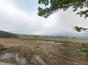 Plans for a slurry lagoon at a field near Churchstoke are being overwhelmingly opposed by locals. From Google Streetview