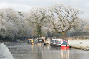 Market Drayton - Janet Richardson