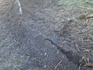 Supporting image for story: 'We urge everyone to respect the site': Police receive reports of people digging bike tracks at Iron Age hillfort