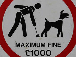 Supporting image for story: Dog owners are hit with fines over pets fouling
