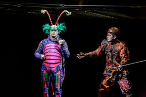 Cirque du Soleil OVO. Pictures by: Chris Bowley