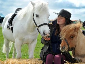 Supporting image for story: Spring fair success for Fordhall Farm