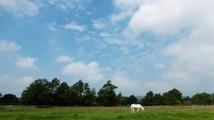 Picture: The sun punching through over Shropshire on Wednesday morning. Peter Steggles.
