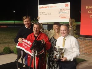 Supporting image for story: Greyhound 'superstars' show their best at Monmore