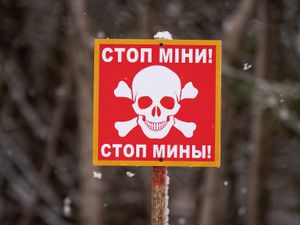 Supporting image for story: UK commitment to landmine ban ‘unwavering’ says minister as allies exit