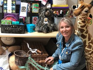 Supporting image for story: Hospice to have a ball with virtual bash