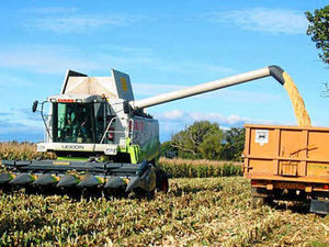 Supporting image for story: Farming Talk: Tenant farmers facing big rise in rent demand