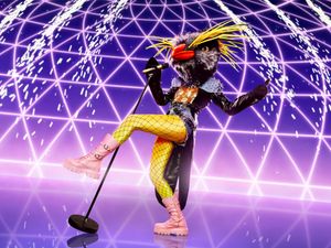 Supporting image for story: Rockhopper stuns The Masked Singer panel with real identity