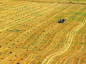 Supporting image for story: Farmers call for clarity and assistance on new payment scheme