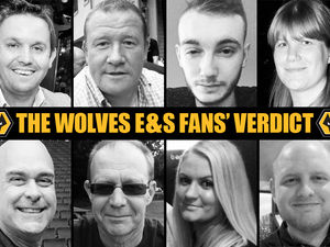 Supporting image for story: Wolves Fans' Verdict: Premier League prospects assessed