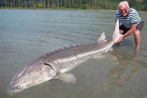 Supporting image for story: Shropshire angler and the one that didn't get away