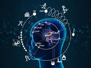 Supporting image for story: Scientists have found a key part of the brain that allows us to experience time