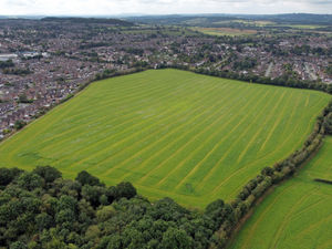 Supporting image for story: Green belt land should be removed from Black Country Plan - councillors