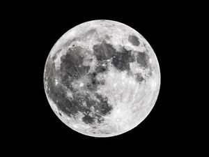 Supporting image for story: Programme for 2019 science festival tackling theme of ‘frontiers’