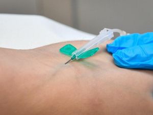 Supporting image for story: Scientists develop blood test that can ‘predict final menstrual period’