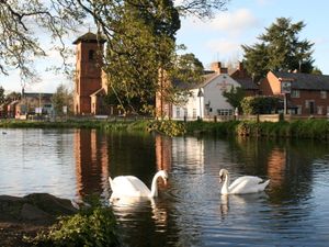 Supporting image for story: Secret judge to look for best garden in the village