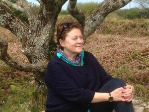 Supporting image for story: Stourbridge climate campaigners plead with Andy Street for public health emergency