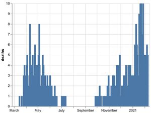 Supporting image for story: Covid death toll for Shropshire NHS trusts passes 500