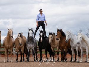 Supporting image for story: Llanfyllin show returns after pandemic