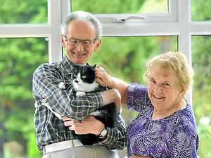 Supporting image for story: Wednesfield couple reunited with cat after year